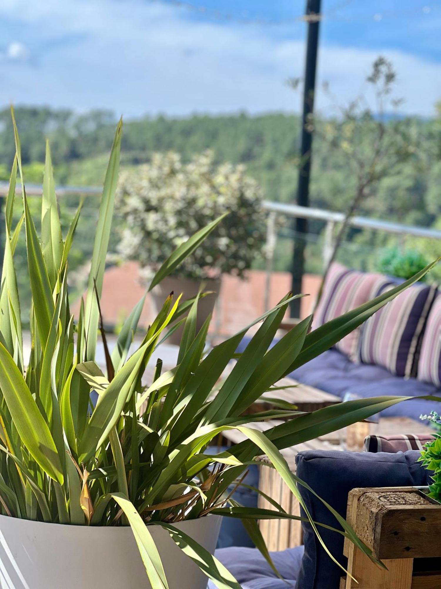 Domaine De Chalveches Hotel Spa 4* Faugeres  Exteriör bild